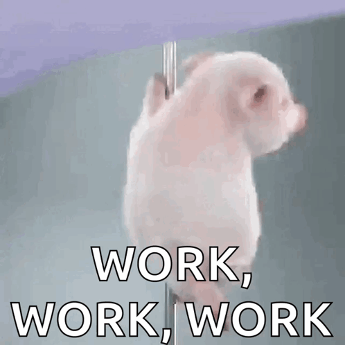 porquinho polidance.gif